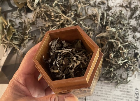 498203096_9929905070422529_9203839352294821188_n