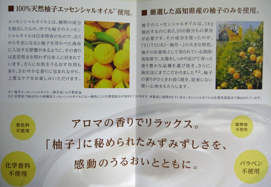 P1100319