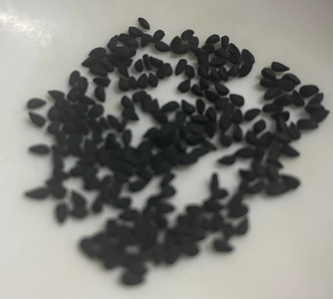 330534013_233051879192781_6638488388042793850_n