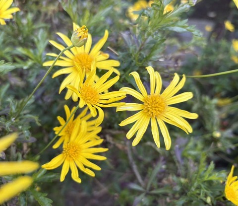 608882615_25599390516380732_8564196692188843779_n