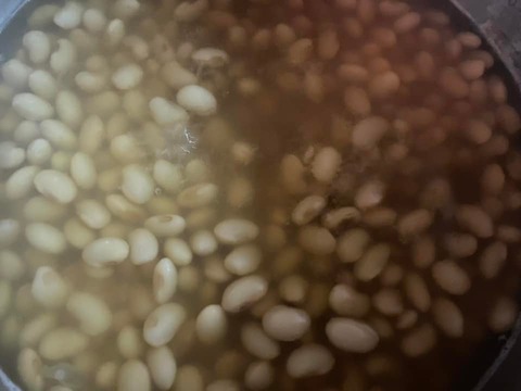 273940017_4903735193039567_2369981880568656095_n
