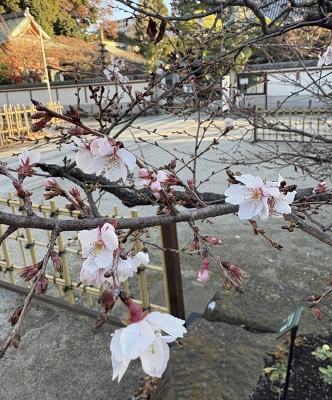 605117136_25510511165268668_2008393827394161505_n