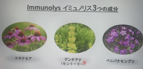 420034646_238731119271282_6308460923157400794_n