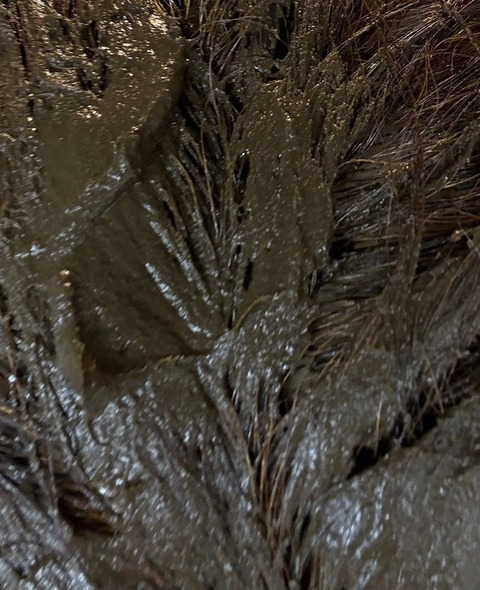 611645896_25599392896380494_7351086803275003968_n