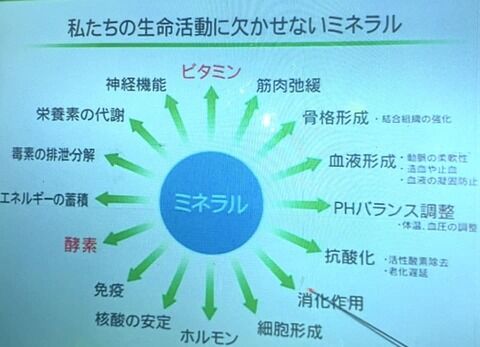 ee063736-s
