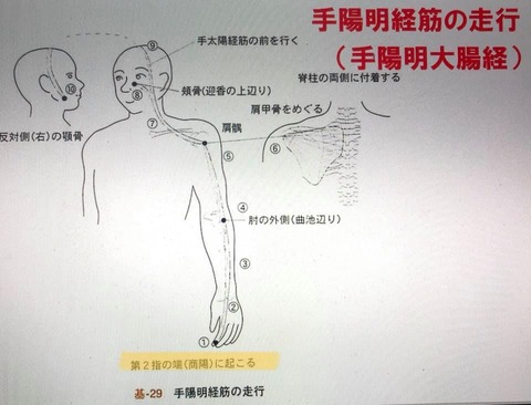 123244918_3469130703166697_294225265429573412_n