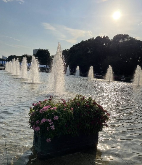 555668563_24723224863997306_6539951339094978498_n