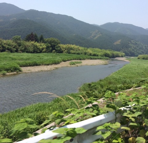 83f3fe6c.jpg