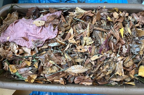 image6