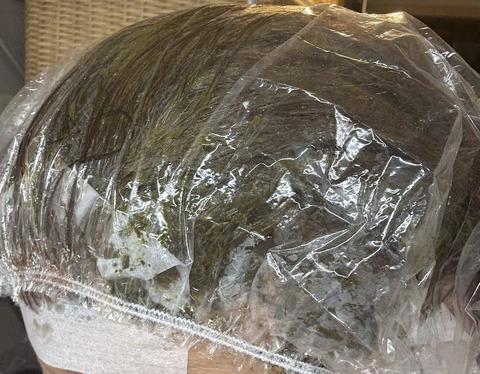 603961690_25516963394623445_5897179460977544149_n