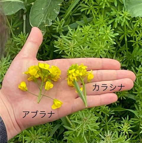 435353726_7467720809974313_3840570114679181319_n