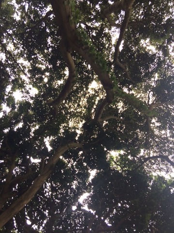 8630b2f7.jpg