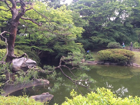 34107129_1734830323263419_5970670162586632192_n