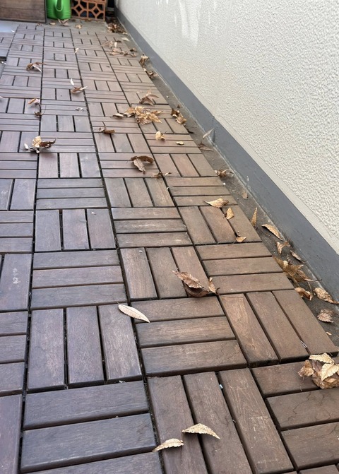 606899283_25560812546905196_4585434276183728098_n