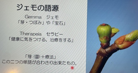 419886269_913514870396567_1669998635999125742_n