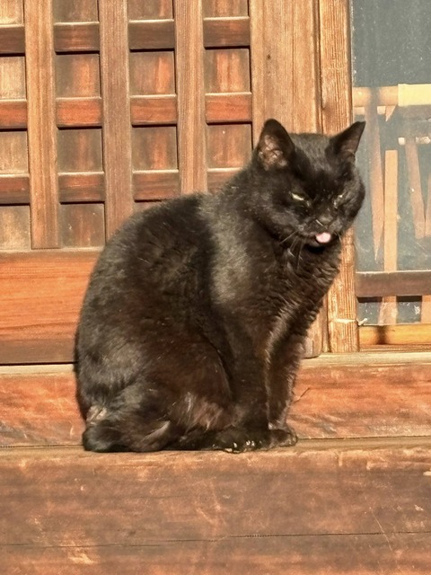 595701952_25375471945439258_1840607167688365257_n