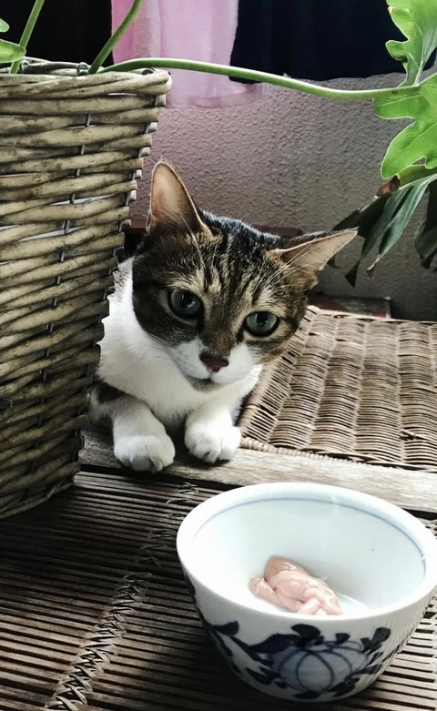 546406504_24614897768163350_4002726039800262825_n