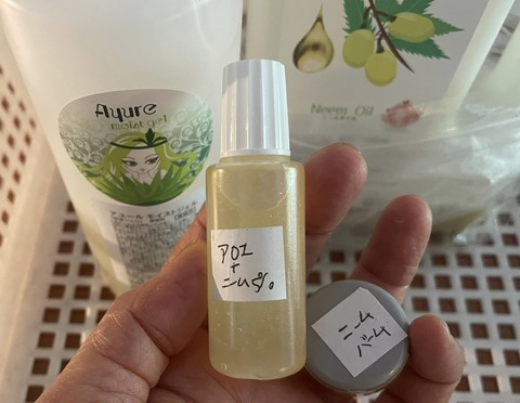 456697962_8194526230627097_9070443834658115397_n