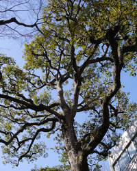 P1040586