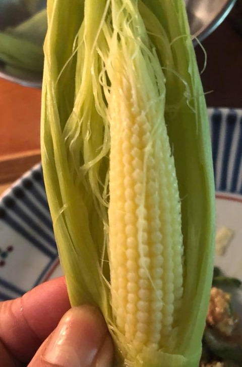 61310006_2246535638759549_7507524372945436672_n