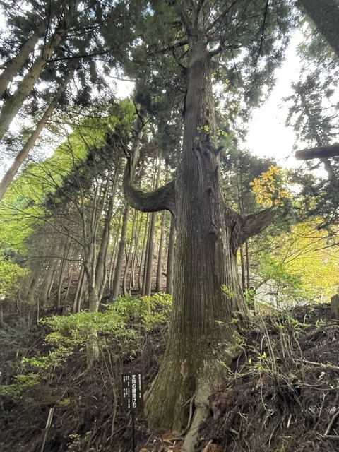 577348521_25112303695089419_493339282483934844_n