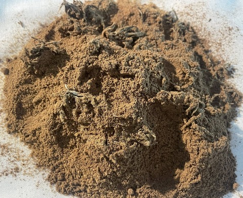 500223850_9929903157089387_8331565188889422763_n