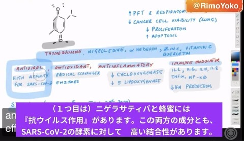 334776815_878602580060036_2297072216069121880_n
