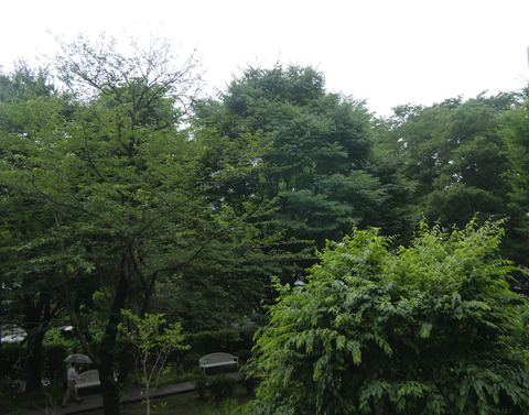 P1350413