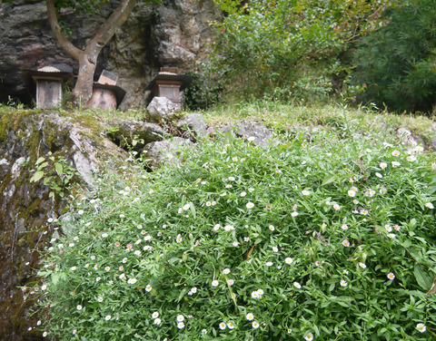 P1250579