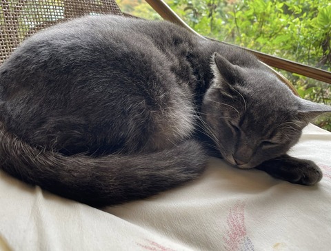 577968288_25112303408422781_6317062080658361342_n