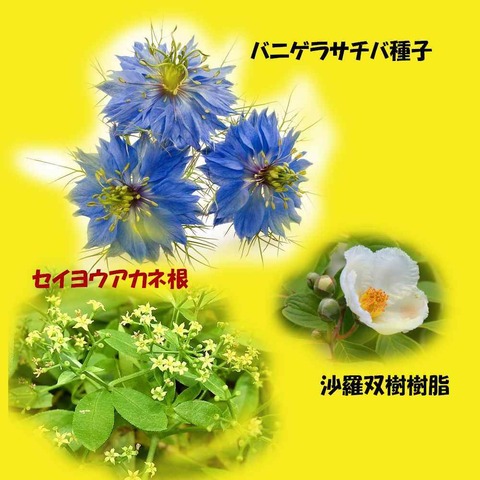 4526543834cdb13499e6e89d6b4c156d