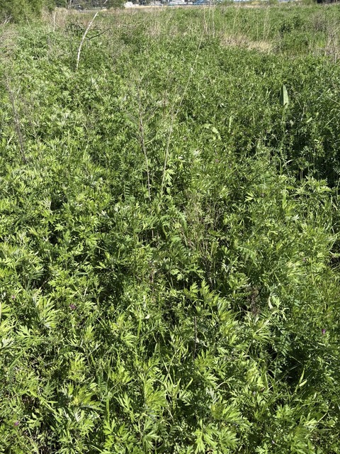667620665_26496594153327026_8504462415612156049_n