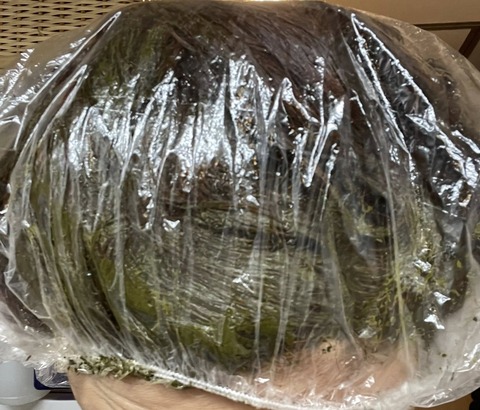 579395466_25132972866355835_6909525428453882757_n