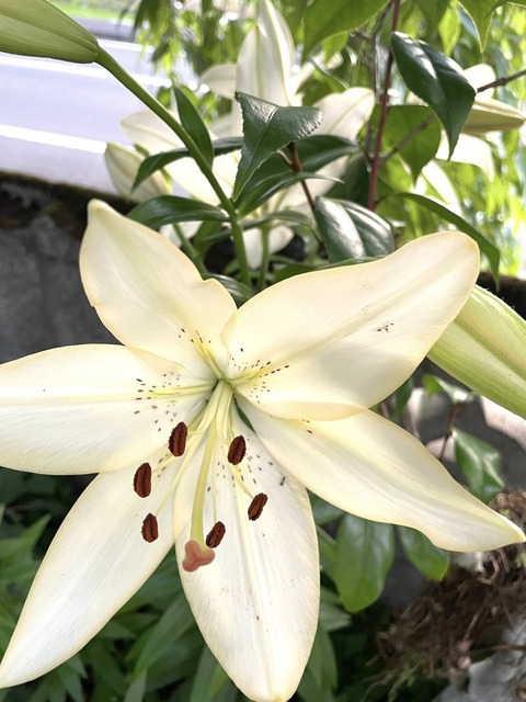 502578643_10052913601455008_8734315575256394645_n