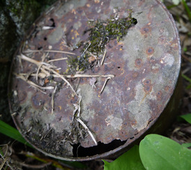 P1060873