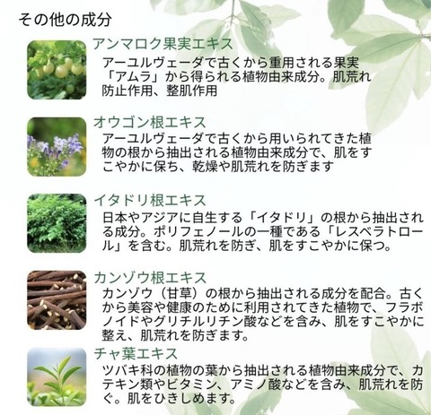 544388208_24559301363722991_5941840771315707111_n