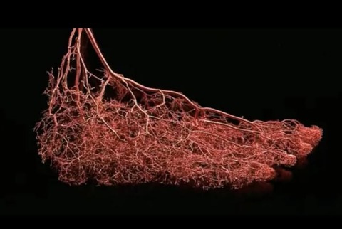 571186284_24989704290682694_321894302413339796_n