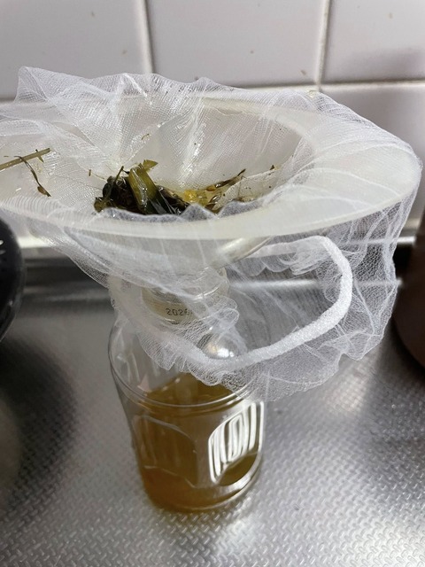 565687074_24941271562192634_4888630829743771351_n