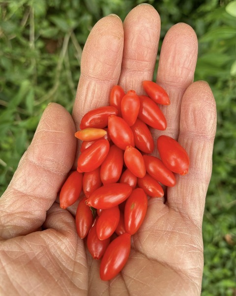 577774599_25132973229689132_2285334012563275454_n