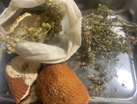 420193713_2040966492950890_371391030529275517_n