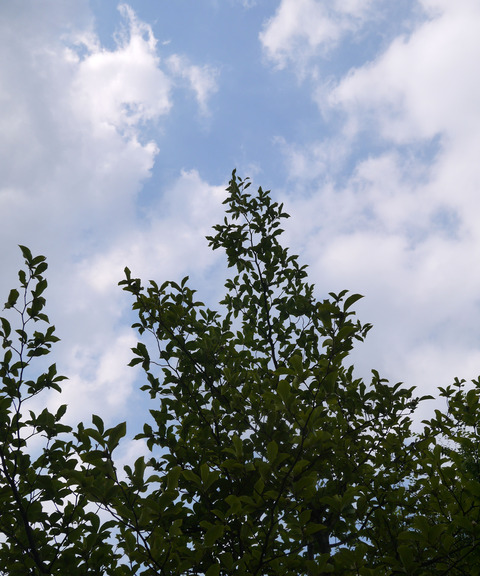P1310697