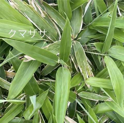 444151114_7688735364539522_4377584735976902143_n