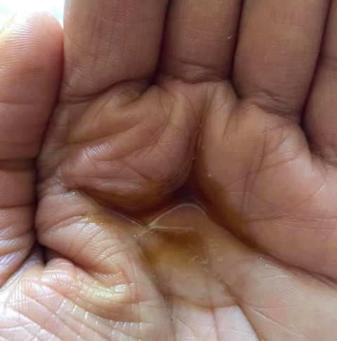 98174600_2974340675979038_2587795478913482752_n