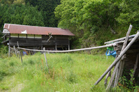 P1060921