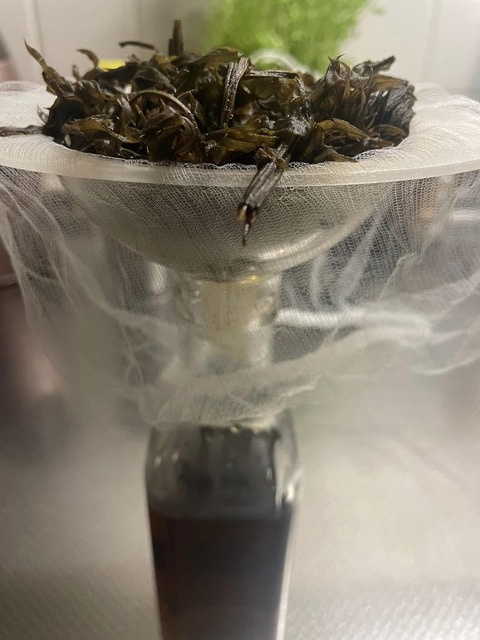 460660496_8377769402302778_1738222186349188620_n