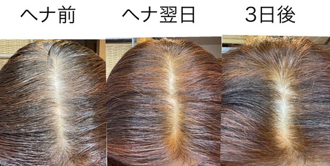 589286406_25289317694054684_4292453315051370833_n