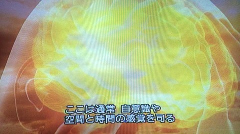 100532066_3002228503190255_1534608960370245632_n