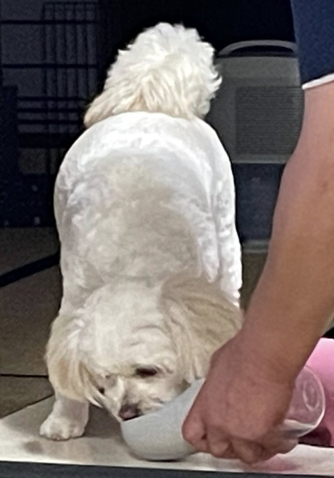 557406743_24779333161719809_4372480892897725730_n