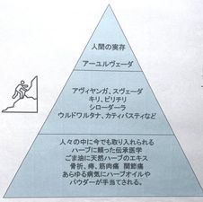 441229184_7586016274811432_8318381119834785704_n