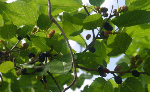 P1340940